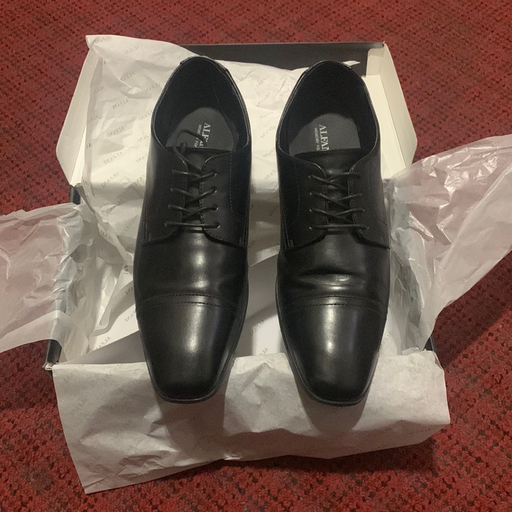 Alfani Shoes